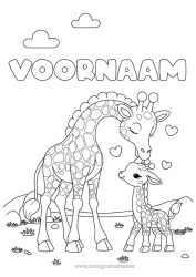 Gratis kleurplaat Hart Giraffe Dier Wilde dieren van Afrika Dierenfamilie Dierenbaby Kus