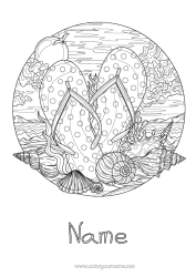 Free coloring Sea Sea Shell Flip flops Marine or aquatic animals