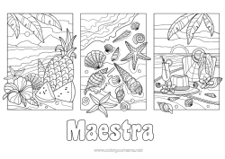 Colorazione gratuita Vacanze Estate Spiaggia Ananas Frutta Conchiglie Stella marina Animali marini o acquatici Hibiscus