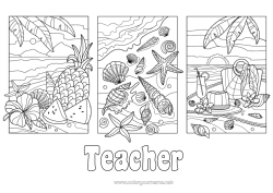 Free coloring Holidays Summer Beach Pineapple Fruits Sea Shell Starfish Marine or aquatic animals Hibiscus