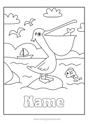 Colouring to customise Sea Animal Birds and flying mammals Pelican