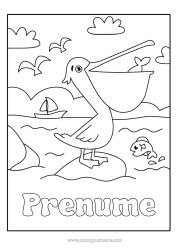 Pagină de colorat personalizată Mare Animal Păsări și mamifere zburătoare Pelican