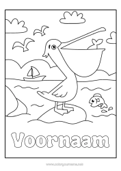 Gratis kleurplaat Zee Dier Vogels en vliegende zoogdieren Pelikaan