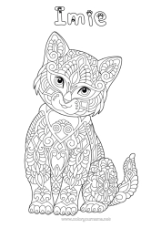 Kolorowanka za darmo Kot Mandala Zentangle Psy i koty