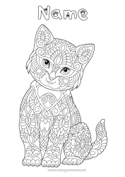 Colouring to customise Cat Mandala Animal Zentangle Dogs and cats