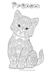 Coloriage à personnaliser Chat Mandala Zentangle Chiens et chats