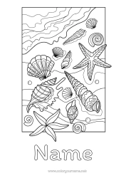 Colouring to customise Beach Animal Shellfish Starfish Marine Or Aquatic Animals