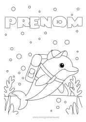 Coloriage à personnaliser Animal Dauphin Animaux marins ou aquatique Cartable Rentrée scolaire