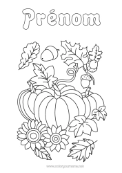 Coloriage à personnaliser Citrouille Automne Tournesol Gland Feuilles mortes