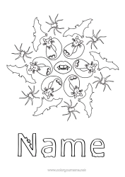 Free colouring Bat Spider Black cat Insects Dogs and cats Birds and flying mammals
