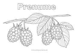 Pagină de colorat personalizată Fructe Realist Zmeură