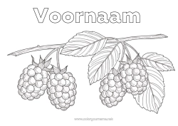 Kleurplaat aanpassen Fruit Realistisch Framboos