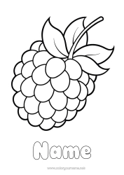 Free colouring Fruit Blackberry