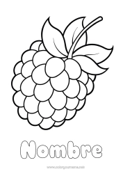 Colorear gratis Frutas Mora