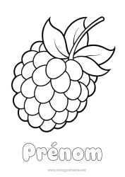 Coloriage gratuit Fruits Mûre