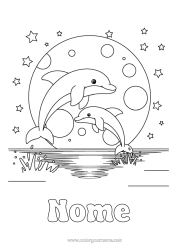 Desenho para personalizar Mar Golfinho Estrelas Animais marinhos ou aquáticos Pôr do sol