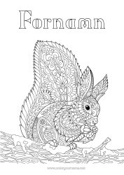 Färgläggningssida att anpassa Ekorre Djur Komplexa Målarbilder Zentangle Skogens Djur Kottar
