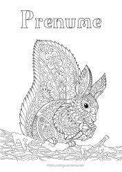 Pagină de colorat personalizată Veveriță Animal Desene de colorat complexe Zentangle Animale din pădure Gland