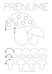 Pagină de colorat personalizată Ciupercă Desene de colorat ușoare Urmează și colorează Fișă de grafică pentru grădiniță Grafic cu linii punctate