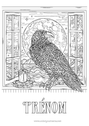 Coloriage à personnaliser Bougie Lune Coloriages Complexes Oiseaux Et Mammifères Volants Corbeau Fenêtre