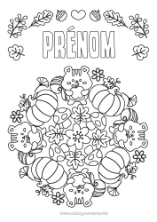 Coloriage à personnaliser Citrouille Fleurs Mandala écureuil Champignon Fruits Animaux de la forêt Pomme