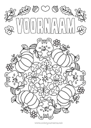 Gratis kleurplaat Pompoen Bloemen Mandala Eekhoorn Paddestoel Fruit Bosdieren Appel