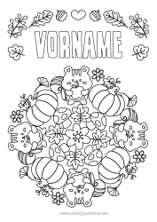 Kostenlose Malvorlage Kürbis Blumen Mandala Eichhörnchen Pilz Früchte Waldtiere Apfel