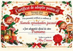 Pagină de colorat personalizată Adopția Oficială A Unui Spiriduș De Crăciun Acte De Identitate Al Lutinului Farceur