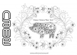 Free drawing Pig Chinese New Year Farm animals