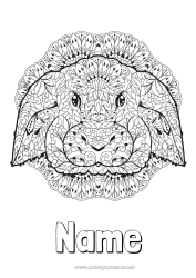 Free colouring Mandala Rabbit 2023 Animal Chinese New Year Forest animals