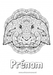 Coloriage gratuit Mandala Lapin 2023 Animal Nouvel An chinois Animaux de la forêt