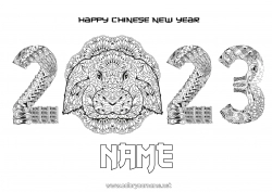 Free coloring Mandala Bunny 2023 Chinese New Year Forest animals