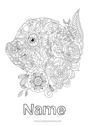 Free colouring Mandala Pig Animal Chinese New Year Farm animals