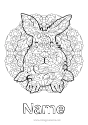 Free colouring Mandala Rabbit Animal Chinese New Year Complex colouring pages Forest animals