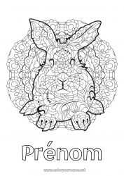 Coloriage gratuit Mandala Lapin Animal Nouvel An chinois Coloriages complexes Animaux de la forêt