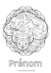 Coloriage gratuit Mandala Animal Nouvel An chinois Serpent Coloriages complexes Reptiles