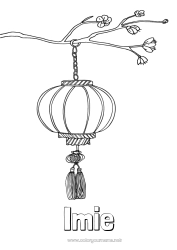 Rysunek za darmo Chiński Nowy Rok Chińska latarnia Czereśnia