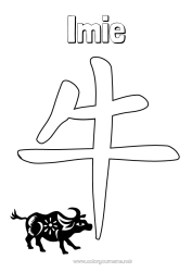 Rysunek za darmo Chiński Nowy Rok Bawół, Wołowina Zwierzęta gospodarskie