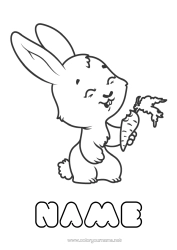 Free colouring Rabbit Animal Chinese New Year Forest animals