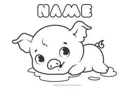 Free colouring Pig Animal Chinese New Year Farm animals