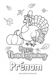 Coloriage gratuit Thanksgiving Dindon Animaux de la ferme