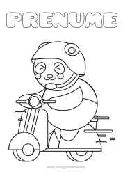 Pagină de colorat gratuită Drăguț Vehicule Animal Panda Scuter Alte animale din lume Vehicule cu două roți