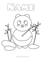 Free colouring Animal Panda Other animals of the world