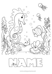 Colouring to customise Sea Animal Fish Seahorse Crab Shellfish Marine Or Aquatic Animals Seabed