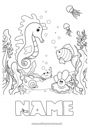 Free coloring Sea Animal Fish Seahorse Crab Sea Shell Marine or aquatic animals