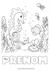 Coloriage gratuit Mer Animal Poisson Hippocampe Crabe Coquillages Animaux marins ou aquatique