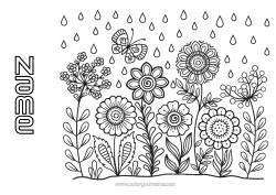 Free colouring Flowers Spring Butterfly Insects