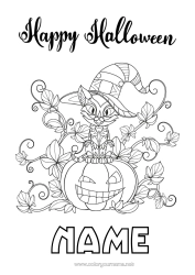 Free colouring Pumpkin Black cat Cat Halloween Dogs and cats Halloween sign-up