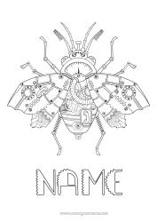 Free colouring Animal Fly Complex colouring pages Insects Steampunk Gears