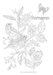 Gratis färgläggning Blommor Mandala Fågel Fjäril Djur Insekter Fåglar och flygande däggdjur Kolibri
